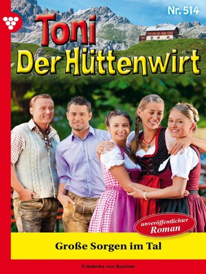 cover image of Große Sorgen im Tal